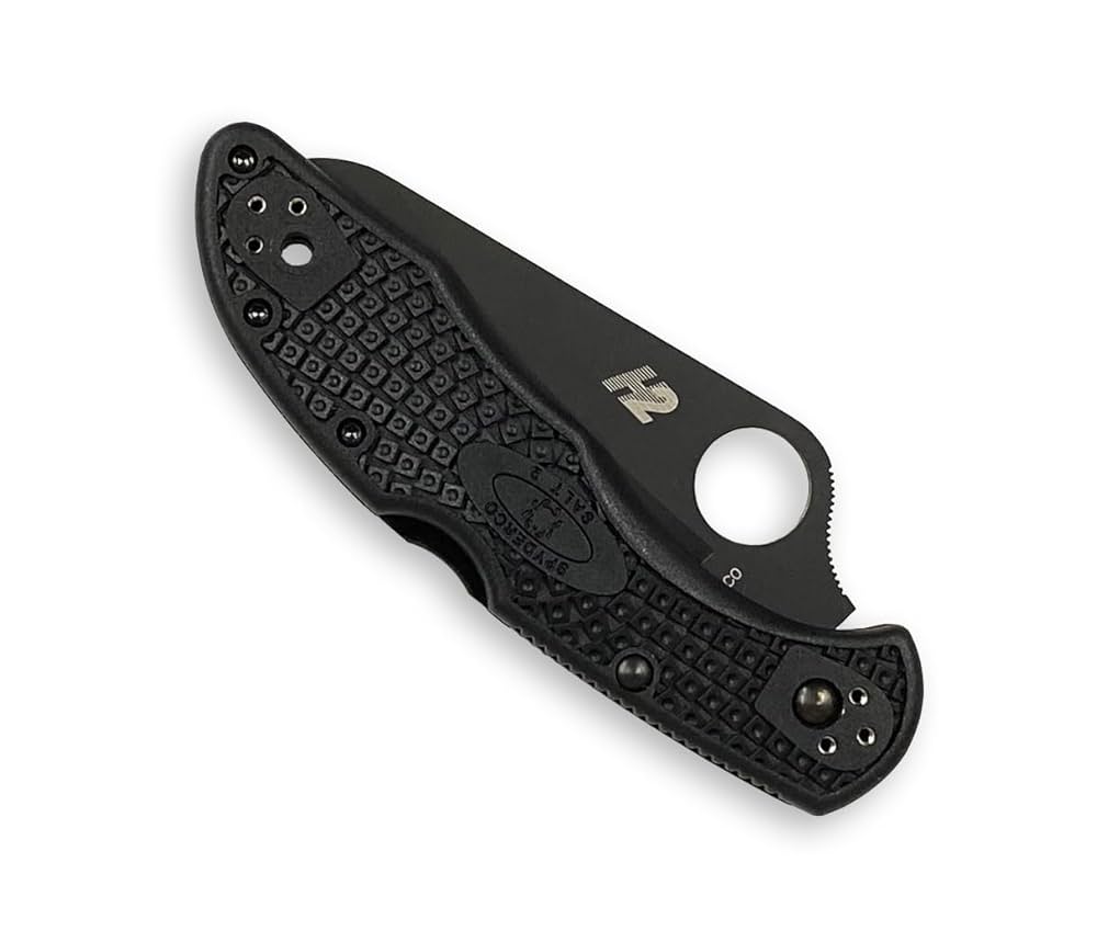 Spyderco Salt Ⅰ　C88PBK フォールディングナイフ Amazon | スパイダルコ(Spyderco) ソルト2 オールブラック H-2